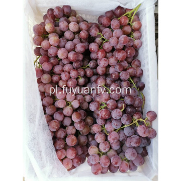 2019 nowe czerwone winogrona